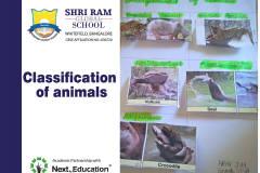 SRGS Classification of animals