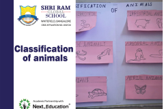SRGS Classification of animals